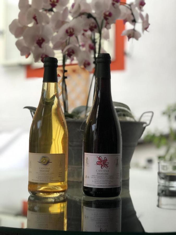 Agriturismo Cantina Morone Guardia Sanframondi エクステリア 写真
