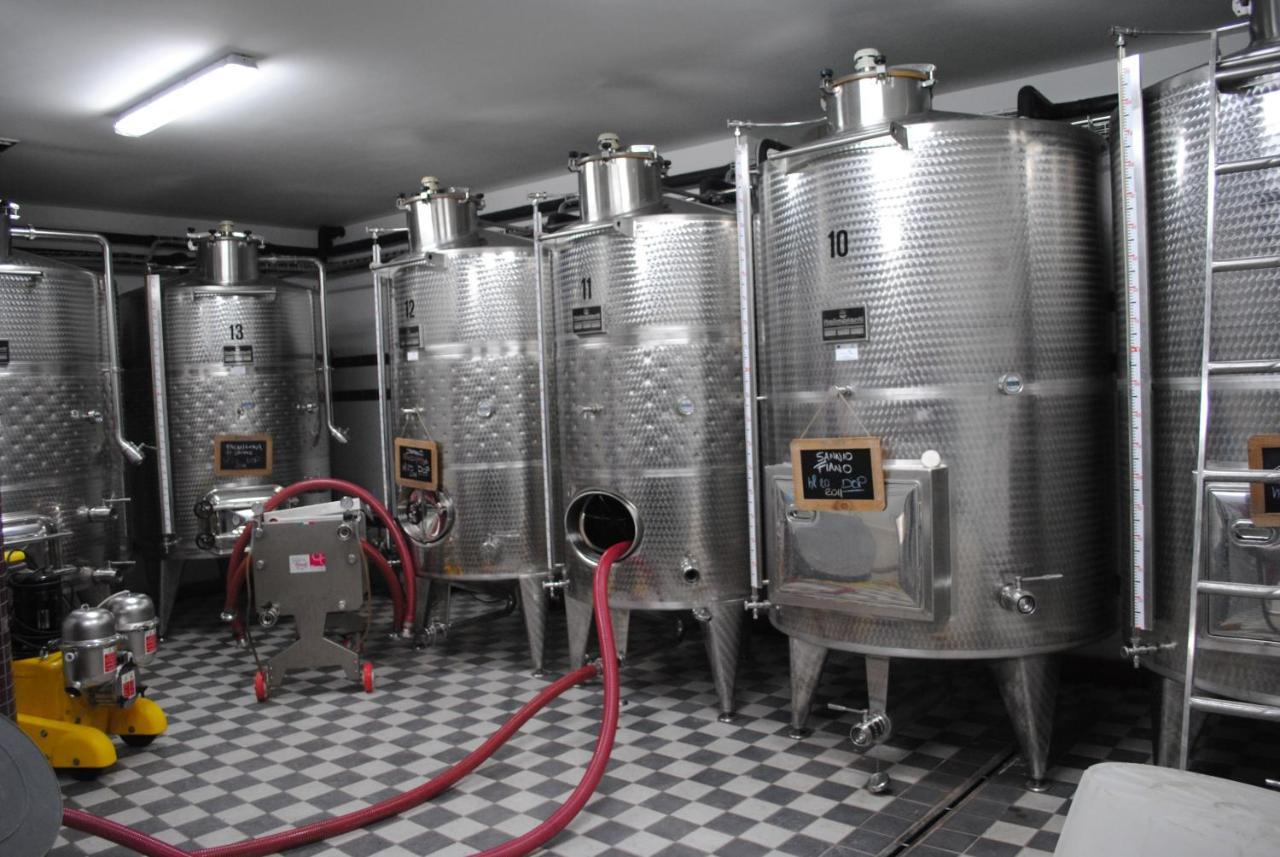 Agriturismo Cantina Morone Guardia Sanframondi エクステリア 写真