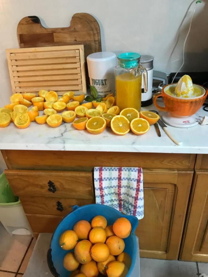 Agriturismo Cantina Morone Guardia Sanframondi エクステリア 写真
